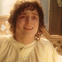 The Fellowship Reunited (The Return of the King)