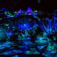 Na'vi River Journey