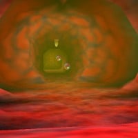 Inside Jabu Jabu's Belly (Ocarina of Time)