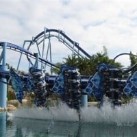 Manta - SeaWorld Orlando, USA 