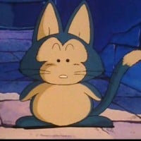 Puar