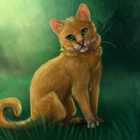 Squirrelflight: lying to Hollyleaf, Jayfeather and Lionblaze
