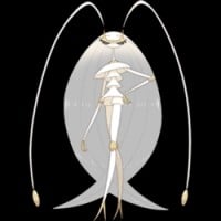 Pheromosa