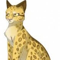 It is Said in a Gathering that Leopardstar Loses a Life by Stepping on a Thorn