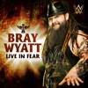 Bray Wyatt - Live In Fear