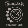 All the Small Things - Blink 182