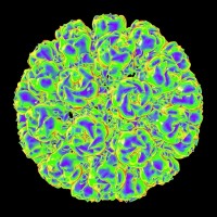 Simian Flu (Rise of the Planet of the Apes)