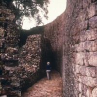 Kingdom of Zimbabwe (1220-1450)