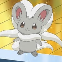 Cinccino, Normal, should have been Normal/Fairy