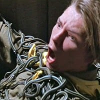 Ophidiophobia - fear ofÂ snakes