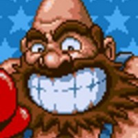 Bear Hugger (Canadian) - Punch-Out Wii