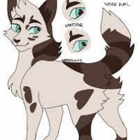 Harestar (WindClan)