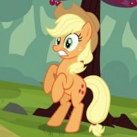 The Last Roundup