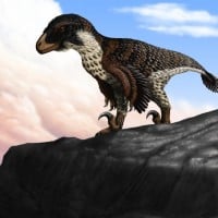 Dakotaraptor