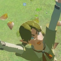 The Crazy Flower Lady