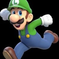 Negative Zone (Luigi)