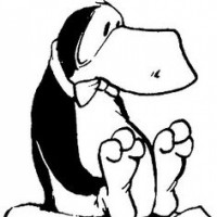 Opus the Penguin (Bloom County, Outland, Opus)