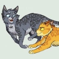 Lionblaze & Cinderheart
