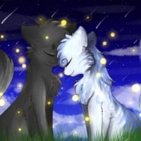 Feathertail and Crowpaw falling in love