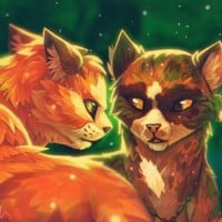 Firestar loving Spottedleaf