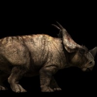 Pachyrhinosaurus - Jurassic Fight Club