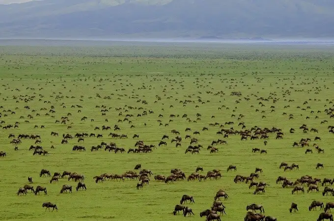 Serengeti National Park, Tanzania