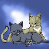 Bluefur & Thrushpelt