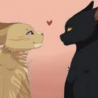 Heathertail & Breezepelt