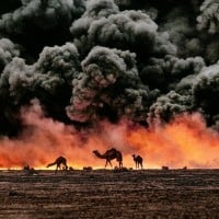 Scorched Earth Policy