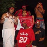 Bloods