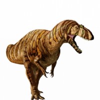 Metriacanthosaurus