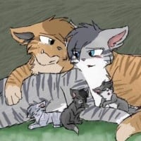 Crookedstar x Willowshine