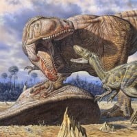 Carcharodontosaurus Saharicus