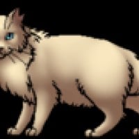 The One Arrogant Clanmate