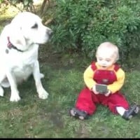 Road to the Multiverse