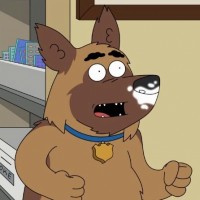 Bullet (Paradise PD)