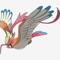 Mega Pidgeot