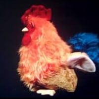 Pecking Rooster (Baby Mozart)