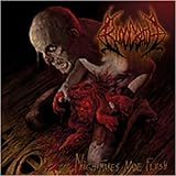 Bloodbath - Nightmares Made Flesh