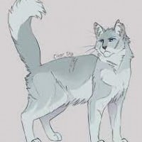 Skystar (SkyClan)