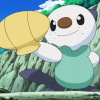 Oshawott Haters