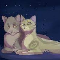 Berrynose & Honeyfern