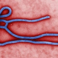 Ebola
