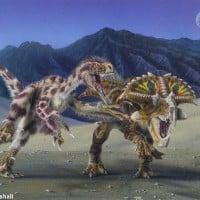 Velociraptor Mongoliensis