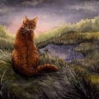 Onestar (WindClan)