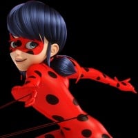 Ladybug