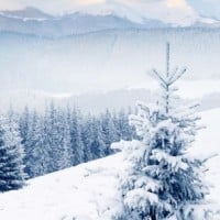 Winter symbolizes death