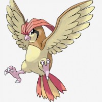Pidgeotto
