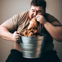 You're so fat the only letters of the alphabet you know are KFC.