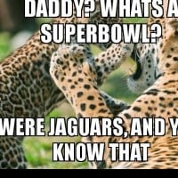 The Jaguars will make the super bowl